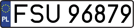 FSU96879