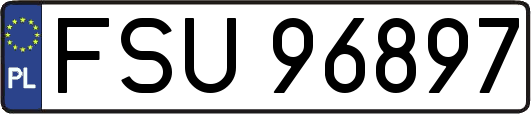 FSU96897