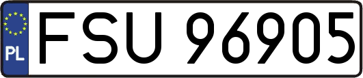 FSU96905