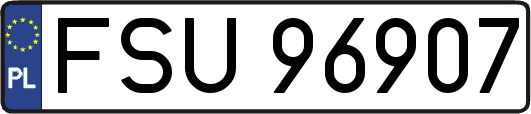 FSU96907