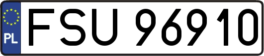FSU96910