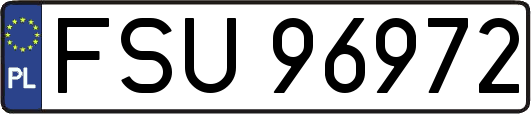 FSU96972