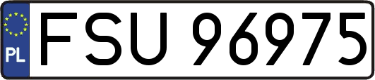 FSU96975