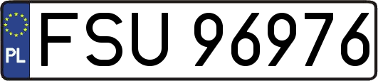 FSU96976