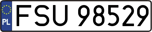 FSU98529