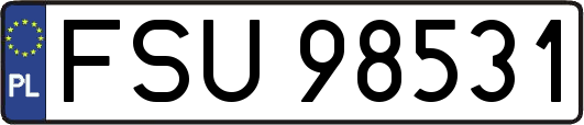 FSU98531