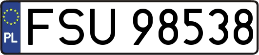 FSU98538