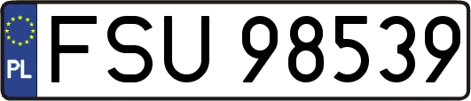 FSU98539