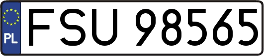 FSU98565