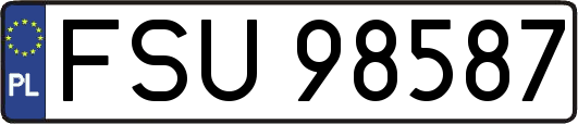 FSU98587