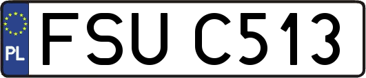 FSUC513