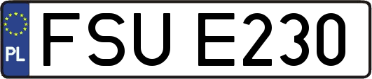 FSUE230