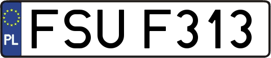 FSUF313
