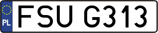 FSUG313