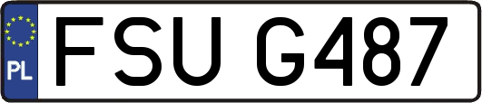FSUG487