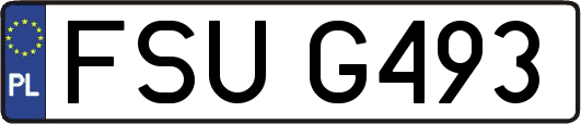 FSUG493