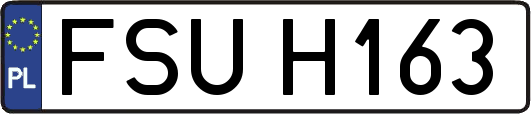 FSUH163