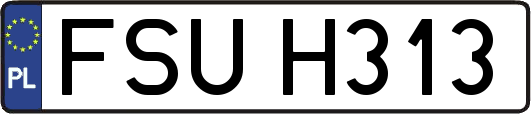 FSUH313