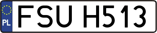 FSUH513