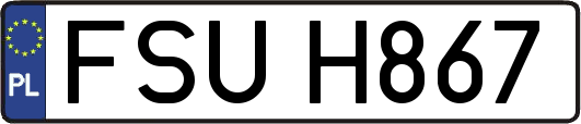 FSUH867