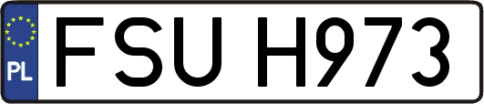 FSUH973