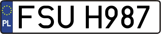 FSUH987