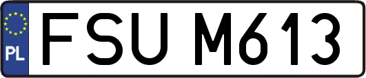 FSUM613