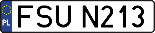 FSUN213