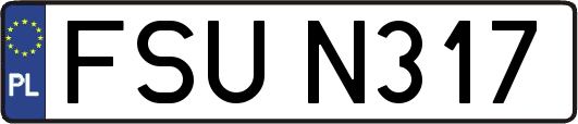 FSUN317