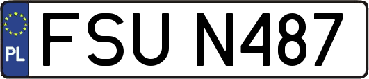 FSUN487