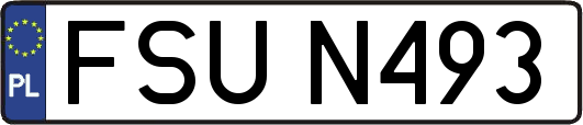 FSUN493