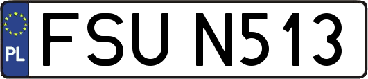 FSUN513