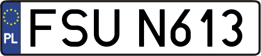 FSUN613