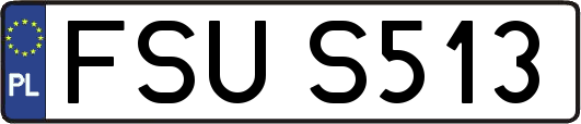 FSUS513