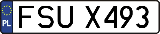 FSUX493