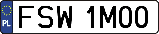 FSW1M00