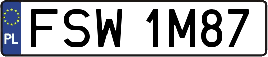 FSW1M87
