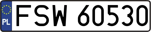 FSW60530