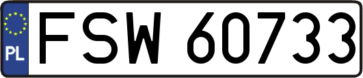 FSW60733