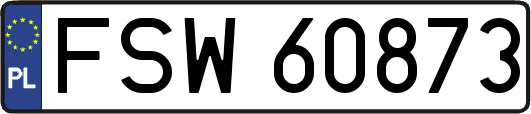 FSW60873