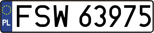 FSW63975