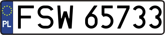 FSW65733