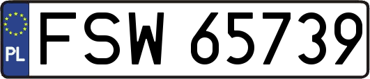 FSW65739