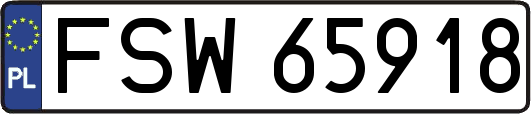 FSW65918