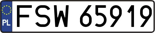 FSW65919