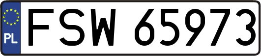 FSW65973