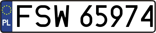 FSW65974