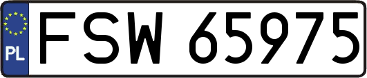 FSW65975