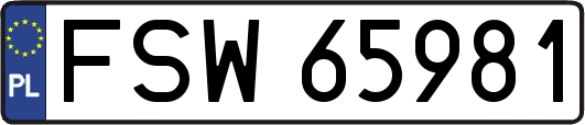 FSW65981
