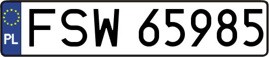 FSW65985